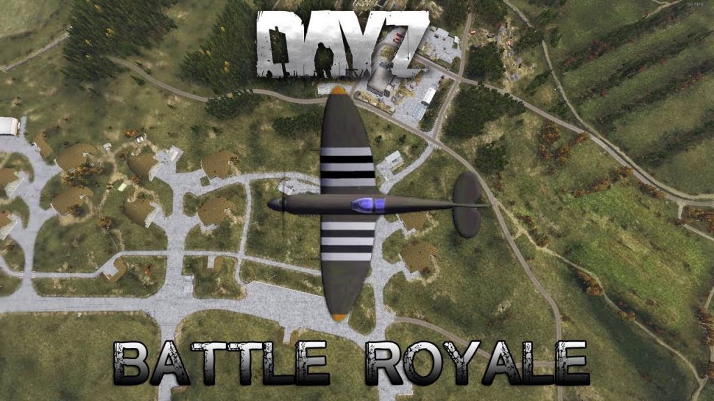dayzbr