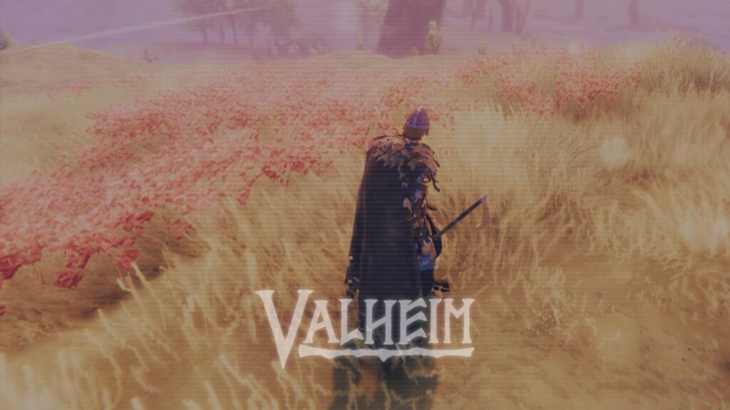 B2b articles Images 0017 Valheim Noborder