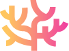 coral@2x coral@2x